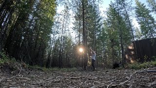 Saturday Forestry Fun