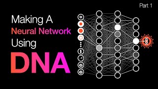 The Math Behind Building An AI Using DNA #SoME3