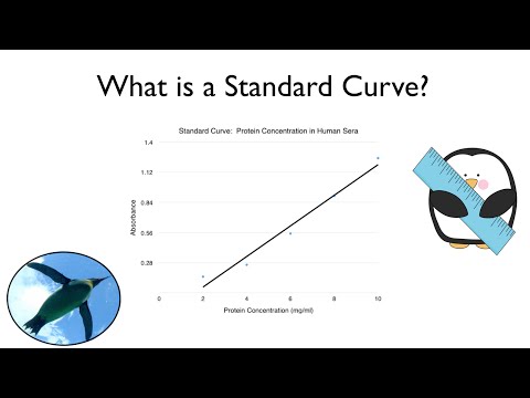 표준 곡선이란 무엇입니까?