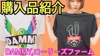 購入品 紹介～★洋服編【DAMMY,ローリーズファーム】