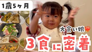 【リアル】大食いベビーの1日の離乳食の様子❤