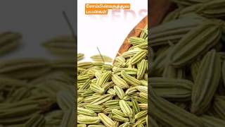 Health Benefits  of Fennel Seeds |Informative Thoughts Tamil