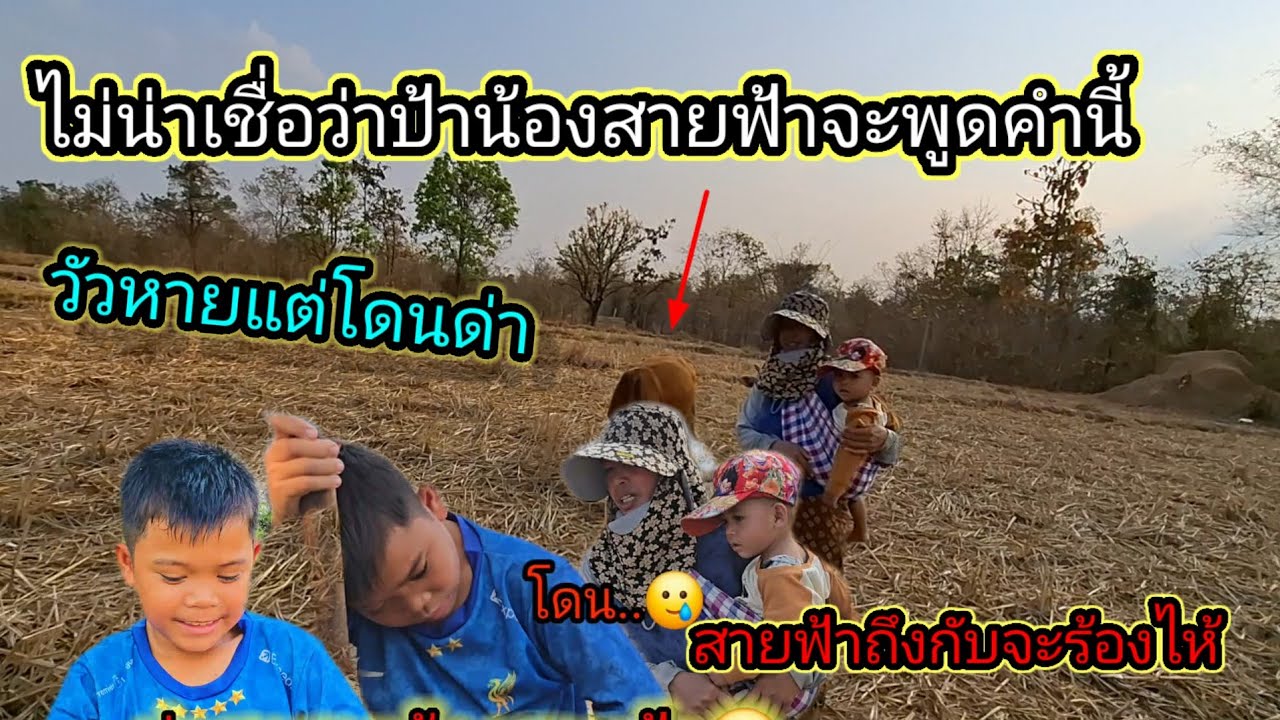 น่าเห็นใจสายฟ้าวัวหายแต่สายฟ้าโดนด่า26 กุมภาพันธ์ ค.ศ. 2026