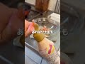 【豆腐レシピ】私が鬼リピしてる豆腐のダイエット飯🍳 #shorts #豆腐レシピ