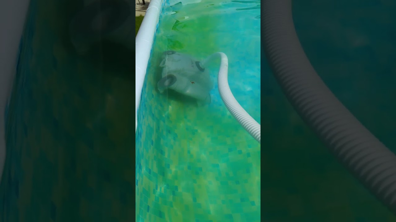 Pool nach 14 Tagen Urlaub grün...