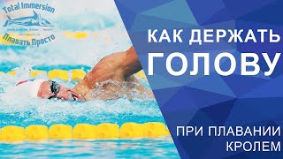 Как правильно держать голову при вдохе в кроле. Как правильно держать голову при вдохе в кроле.