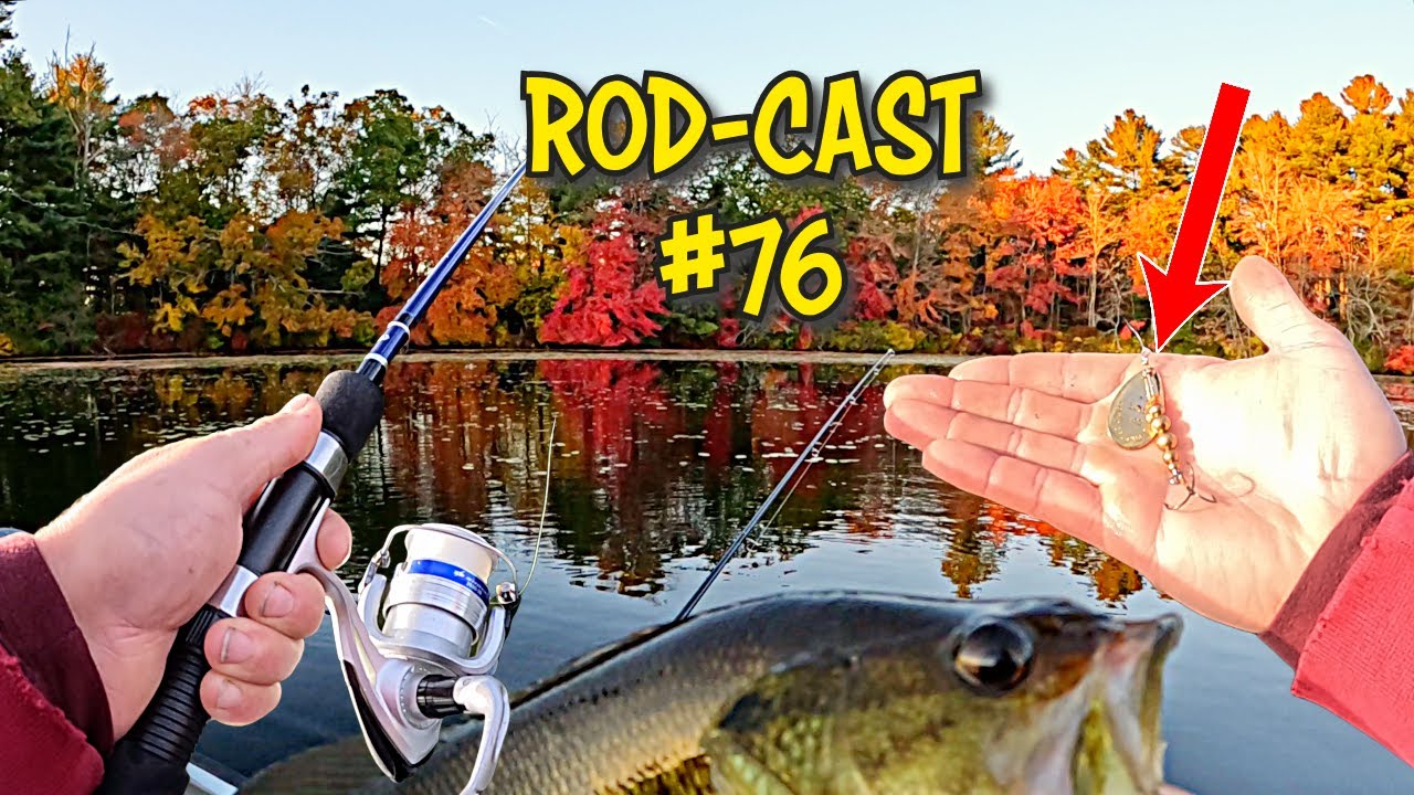 Spinnerbaits For Fall Bass Fishing! | Rod-Cast Ep: 76