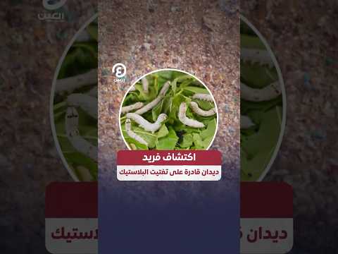 اكتشاف فريد ديدان قادرة على تفتيت البلاستيك