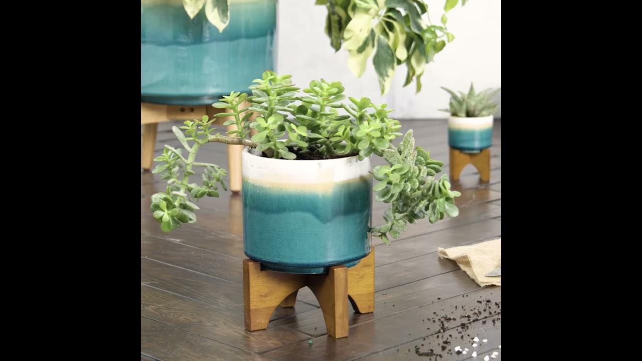 How To Fill A Planter YouTube