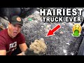 Deep Cleaning an INSANELY Hairy Truck! | Nasty Truck Detailing | The Detail Geek