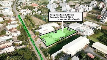 Cơ hội đầu tư và sở hữu bất động sản tại mặt tiền tỉnh lộ 835B, Phước Lý, Cần Giuộc, Long An
