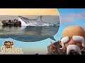 Oko and Lele オコとレレ 🦕 Shark attack 🦈🐋 Season 4 ✨ ベストエピソード ⭐ アニメ短編 | Super Toons TV アニメ
