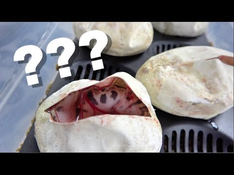 ballo bibaho Another Monsoon Clutch ?? Clutch Update !!!