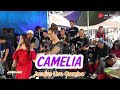Camelia jurujus combo live cikareumbi