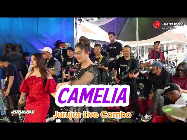 CAMELIA JURUJUS COMBO LIVE CIKAREUMBI class=