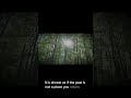 VeilTheory: What if your memories aren't stable? #veiltheory #mystery #shorts