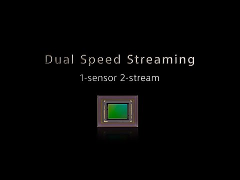 Dual Speed Streaming Function (Output dual data from an image sensor)