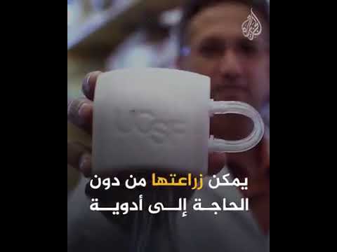 الكلية الصناعية وانتهاء عهد الغسيل الكلوي  