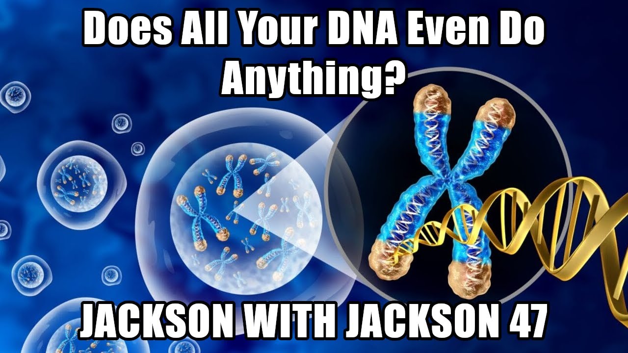 Does All Your DNA Even Do Anything? | Jackson with Jackson 48 (The Thumbnail Is Wrong)