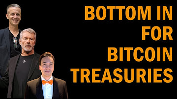 Mike Alfred marks the The Bitcoin Treasury Bottom