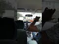 هادی صادق بیگی Hadi Sadeghbeigi درگیری جوزف با بسیجی ها هادی صادق بیگی Hadi Sadeghbeigi درگیری جوزف با بسیجی ها