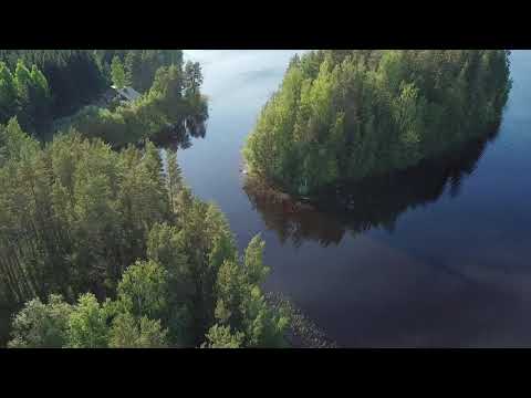 Viitasaari, Suovanlahti, Niemelä