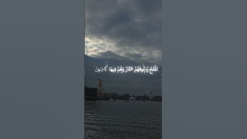 تلاوة عطرة لآيات من كتاب الله #القرآن_الكريم #الله #اكسبلور #المصحف #foryou #viral #fyp #coran#