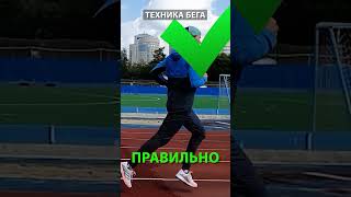 Как правильно бегать #бег #тренировка #shorts