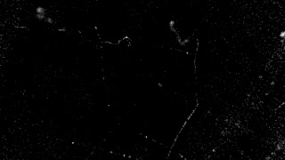 Dominik Javorek Živé Vysílání