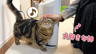 新年の挨拶に来た姉にご機嫌で甘える猫たちが可愛すぎました