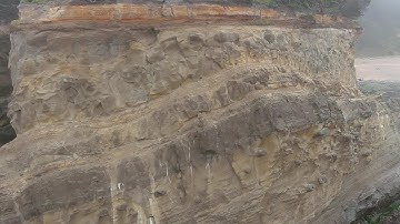 Drone Of Decayed Mudfossil Carcass. part 2