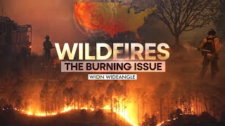 Texas Wildfires Rage | WION Wideangle