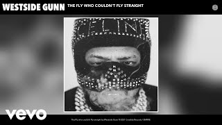 Watch Westside Gunn The Fly Who Couldnt Fly Straight feat Tyler The Creator video