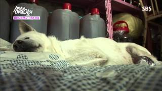 세상에 이런 일이 130725 다시보기 #1(9)