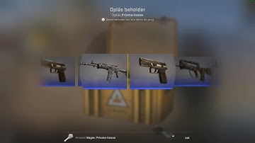 Unboxing one CSGO case a day until we get a KNIFE! (Day 4 - Prisma Case)