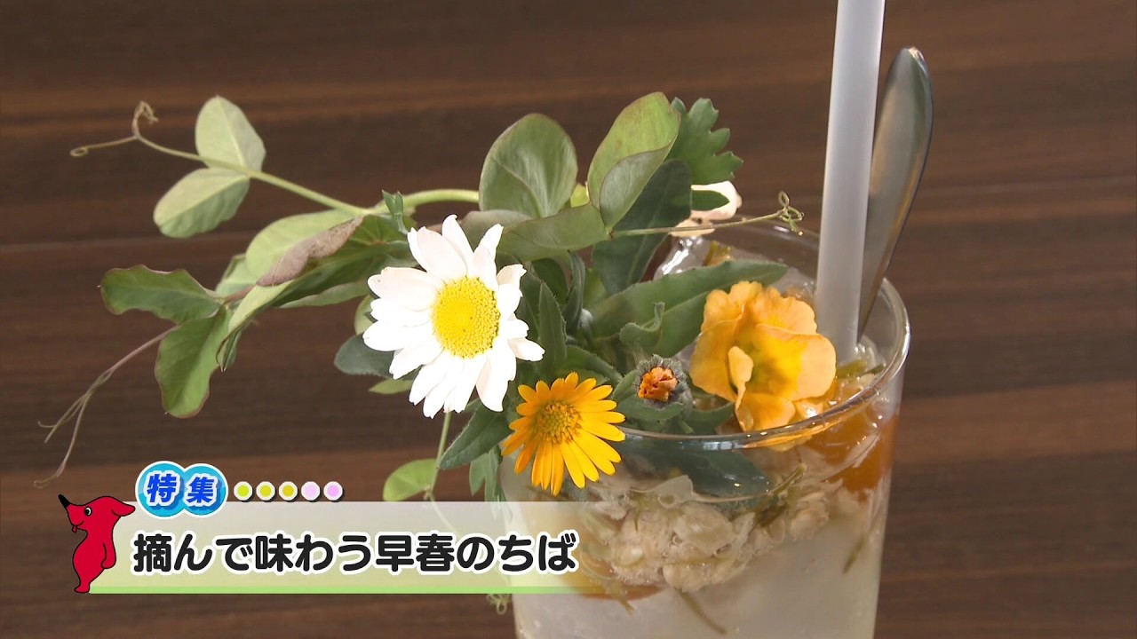 ウィークリー千葉県「摘んで味わう早春のちば」R8/2/21