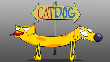 Catdog Theme Song Intro HQ with Lyrics