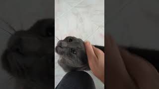 Rızzik Zamanı Sabah Kahvaltısı Spor 🤣