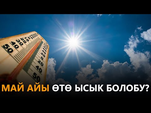 Video: Ыссык айларда өтө көп ит өлөт, бирок анын алдын алууга болот