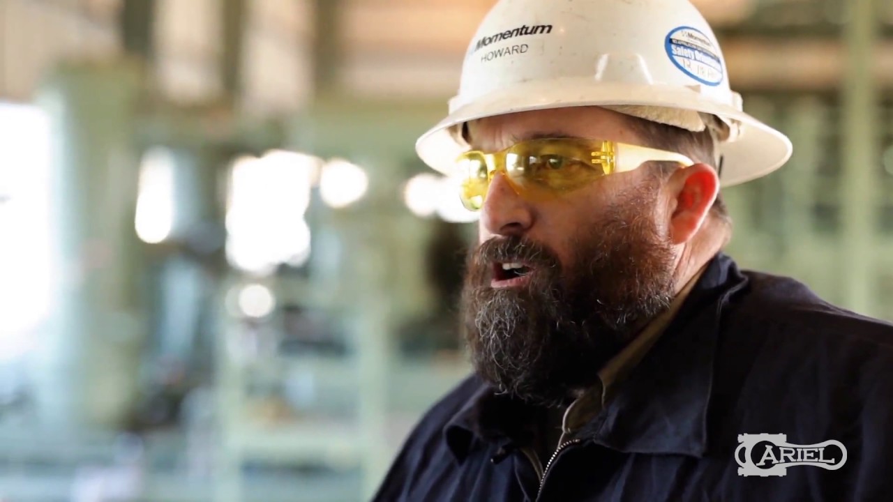 Ariel Corporation - Momentum Case Study