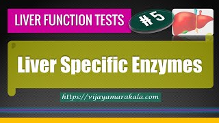 Liver specific enzymes: Liver function tests:  LFTs: Part 5