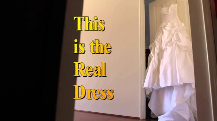 Trashed My Dress -  Michelle Leone Smith
