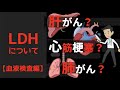 細胞のSOSサイン!?あなたの身体のどこが危ない？LDHの超基本【内科専門医解説】