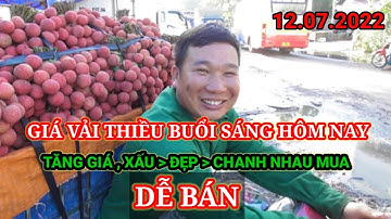 CẬP NHẬT VẢI THIỀU  GIÁP CUỐI VỤ HÔM NAY NGÀY 12_07_2022  XẤU  ĐẸP CHANH NHAU MUA