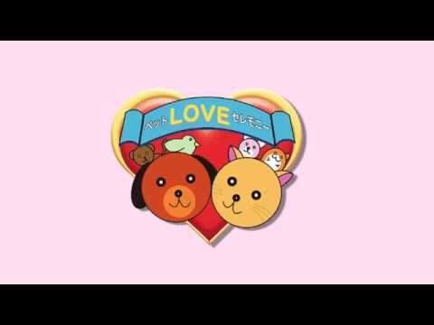 『大切な家族だもん』ペットセレモニー ラブCM