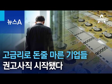 고금리로 <strong>돈줄</strong> 마른 기업들…권고사직 시작됐다 | 뉴스A