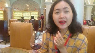 Trải nghiệm Lâu Đài Rượu Vang - Phan Thiết ift Team UPT