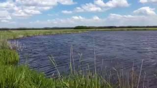 Shimano Dc. Цифровая Система Торможения Шпули Мультипликаторных Катушек При Сильном Ветре.