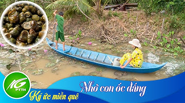 Ký ức miền quê | Nhớ con ốc đắng | THKG