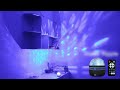 Video Image